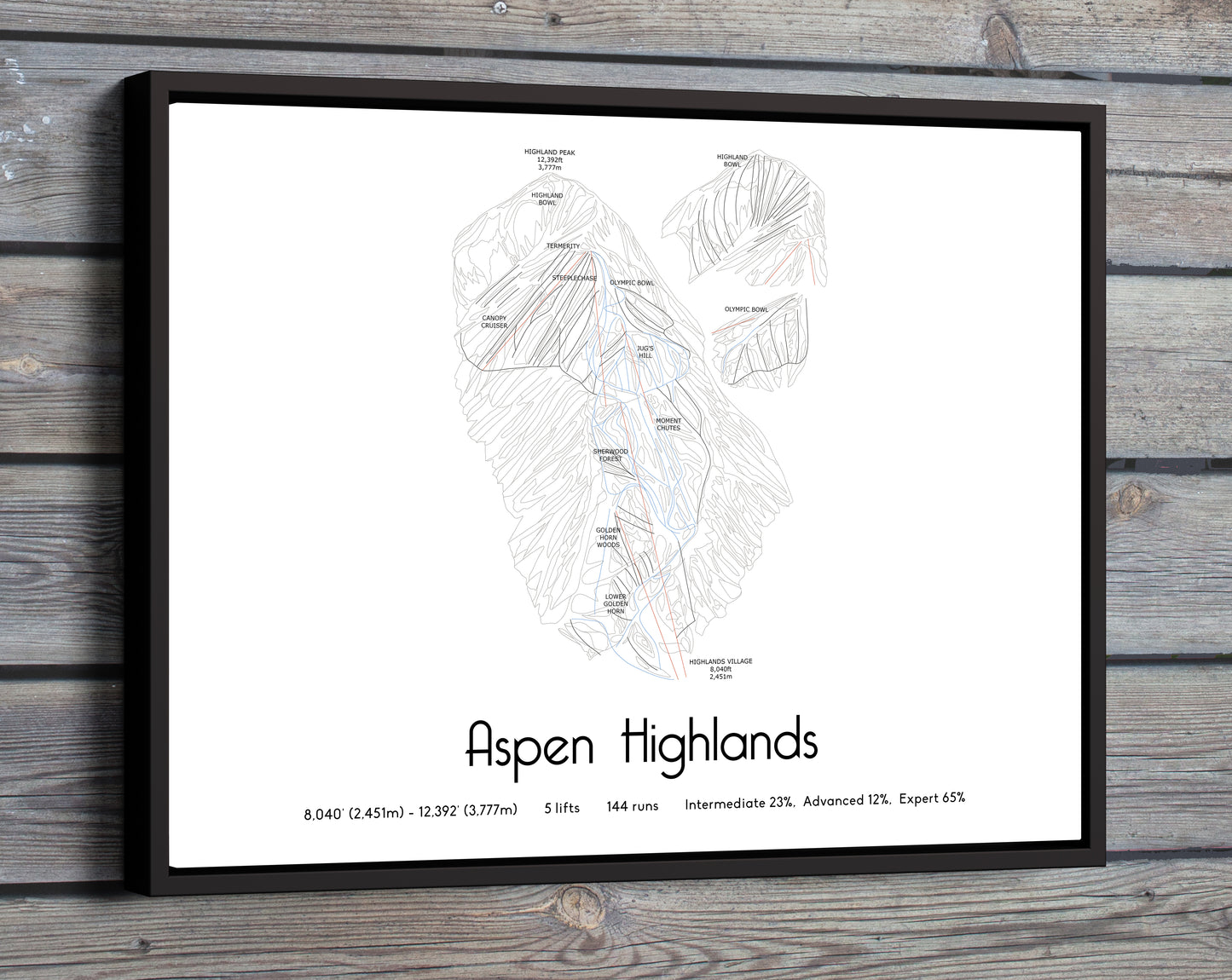 aspen highlands mountain artwork wooden wall