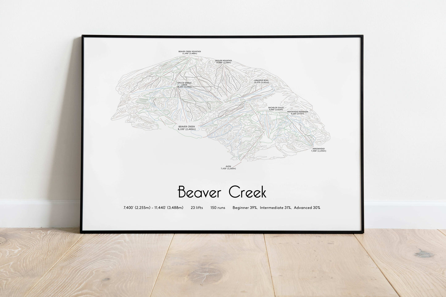 beaver creek mountain artwork black frame