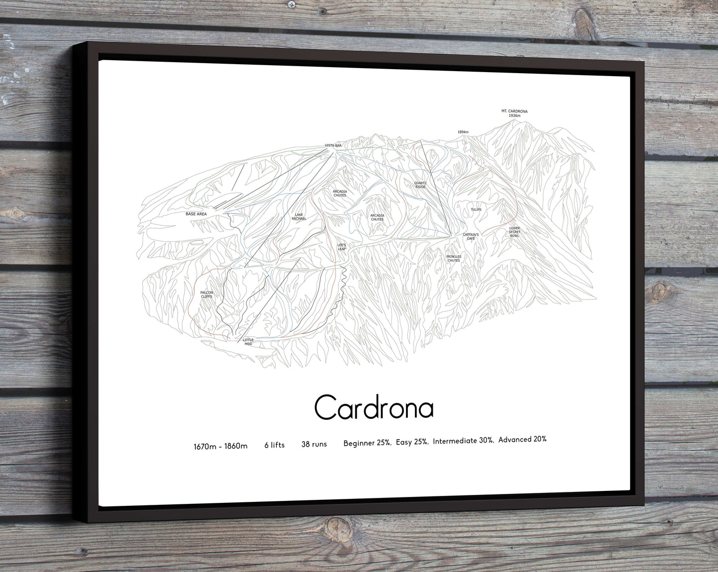 cardrona mountain artwork wooden wall