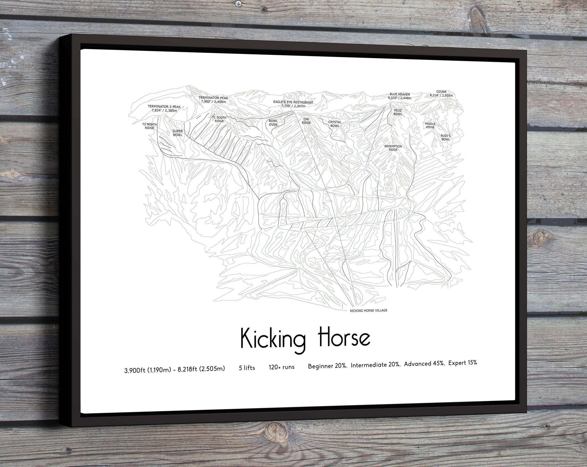 kicking horse mountain artwork wooden