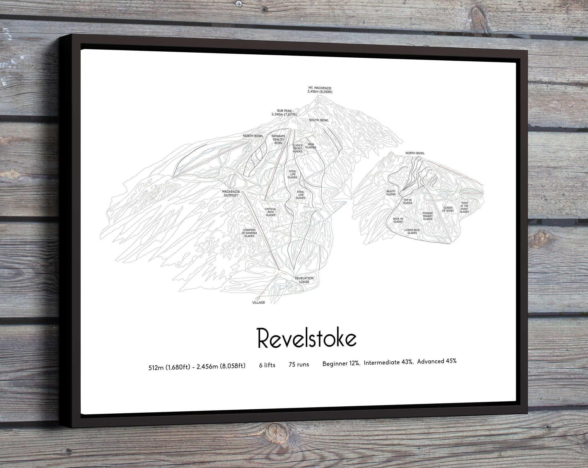 revelstoke mountain artwork wood
