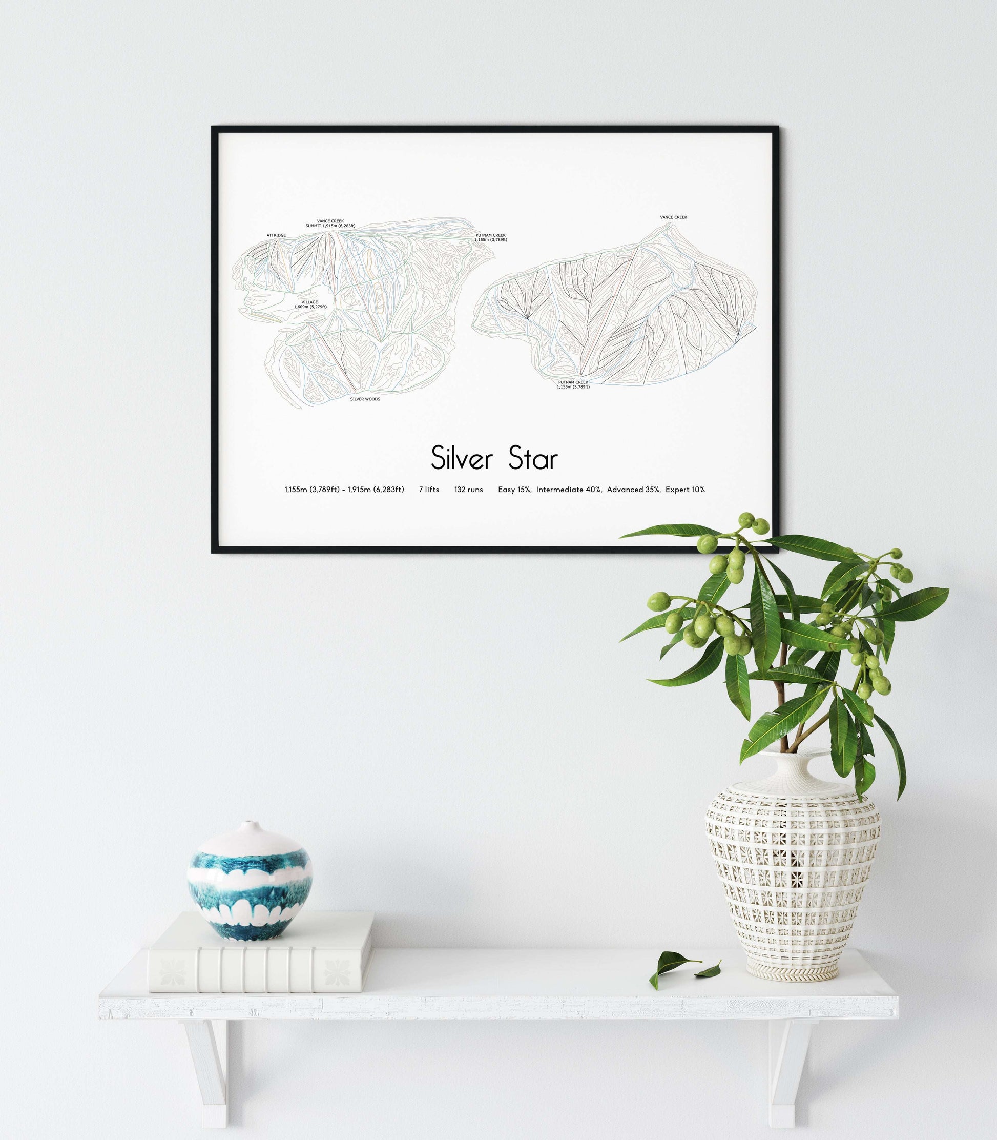 Silver Star Mountain Resort artwork shelf