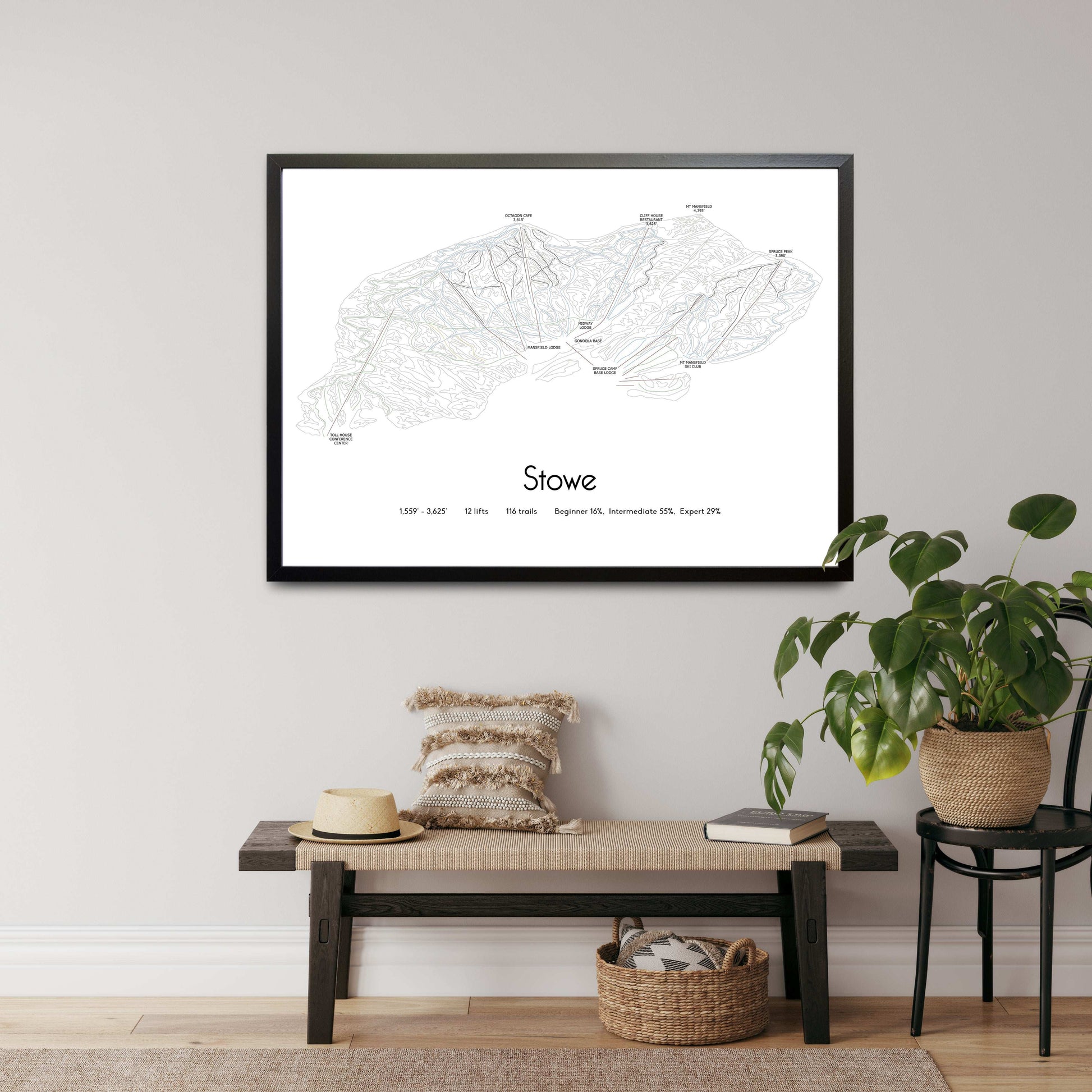 stowe mountain artwork hall