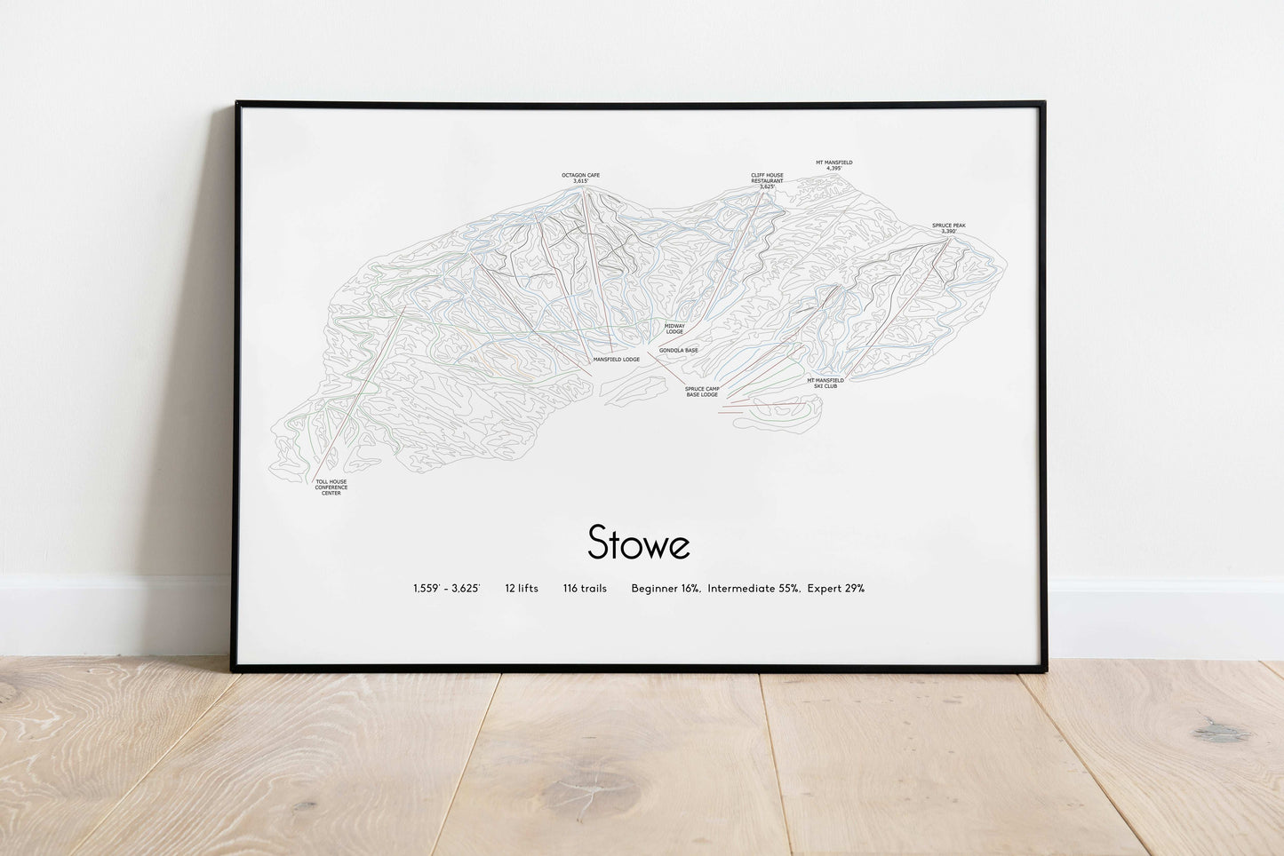 stowe mountain artwork black