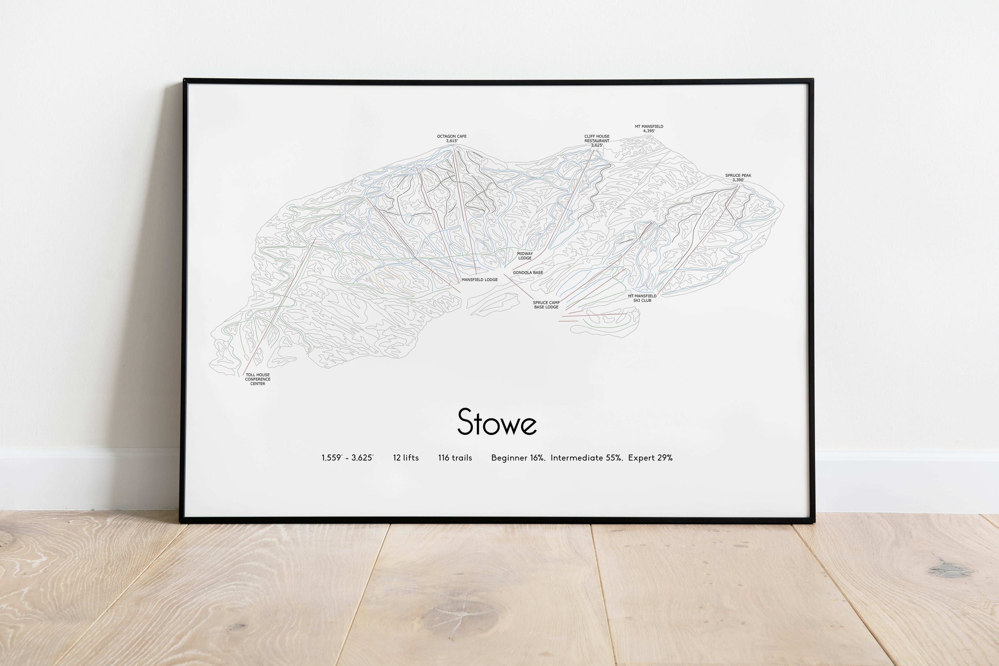 stowe mountain artwork black