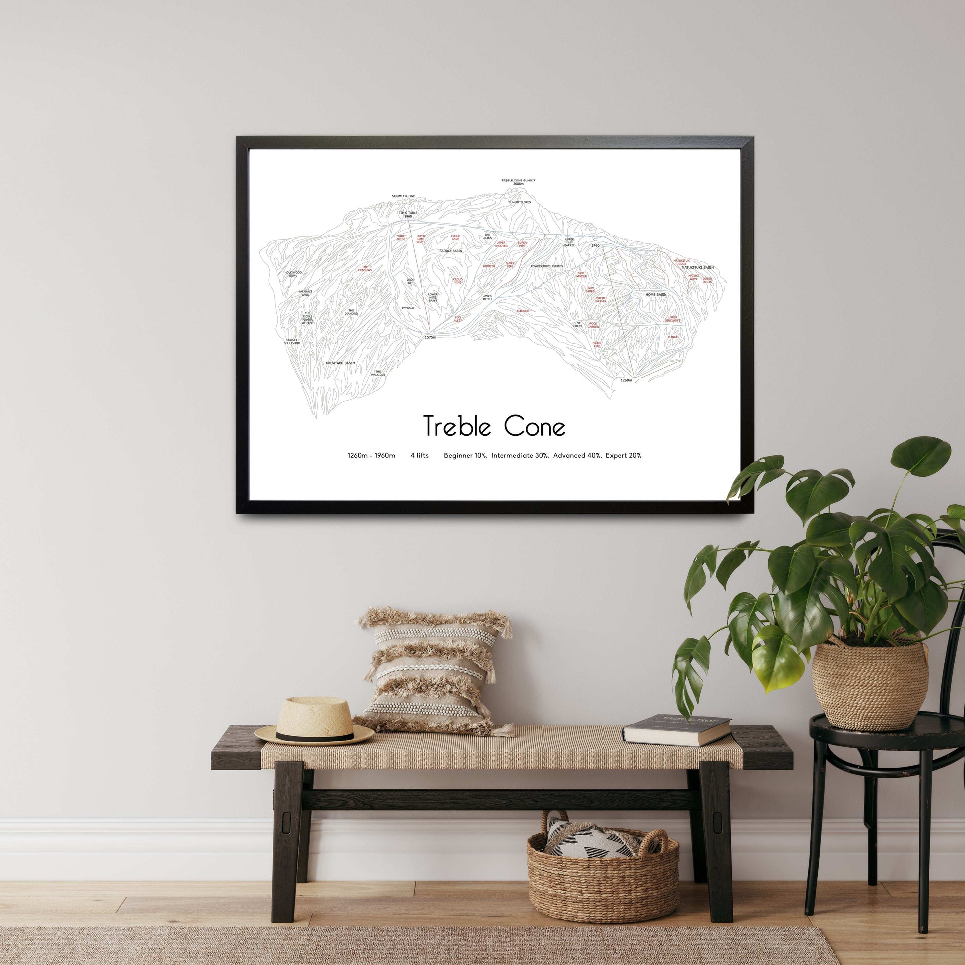 treble cone mountain artwork hall